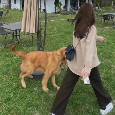 重生